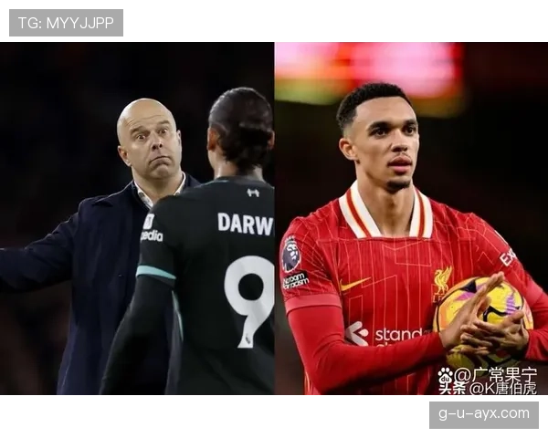 亚当·韦伯斯特英超赛季表现抢眼，引转会市场多方关注