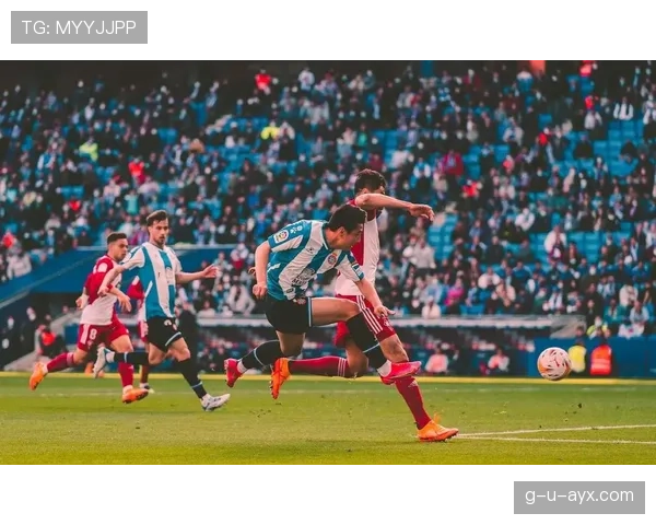 西甲新赛季展望：红白鹦鹉剑指复兴，球迷期待精彩回归