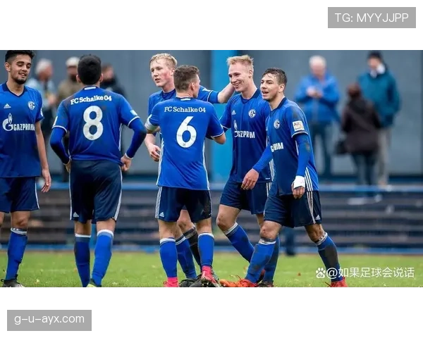 沙尔克04重塑球队结构，新赛季迎机遇与挑战